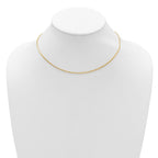 Leslie's 14K 1.25mm Franco 1in+1in Adjustable Chain - Image 3