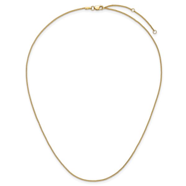 Leslie's 14K 1mm D/C Spiga 1in+1in Adjustable Chain - Image 5