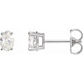 Oval 4-Prong Lightweight Stud Earrings