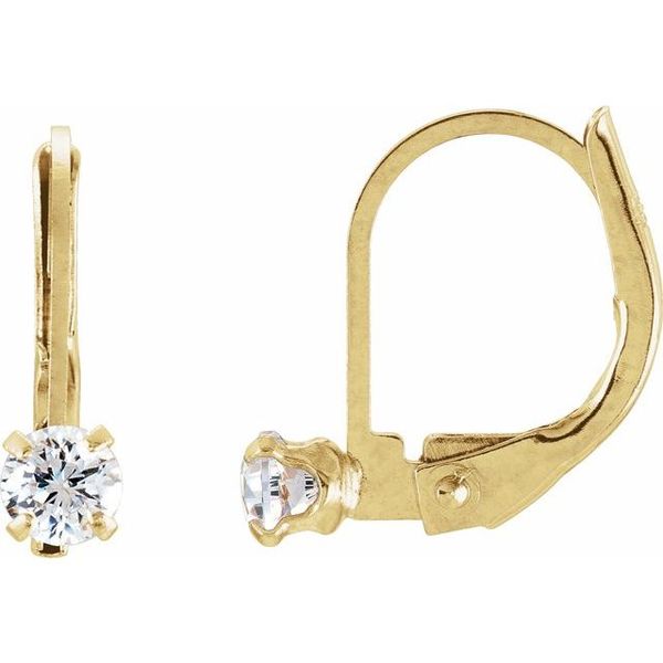 Youth Accented Earrings