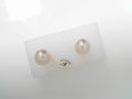 14ky 10mm FW Pearl Earrings