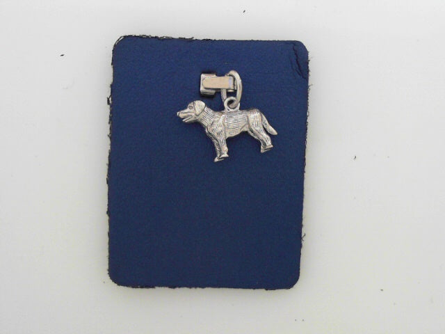 Labrador Dog