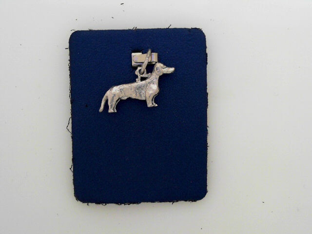 Dachshun Charm