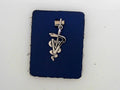 Vet Charm