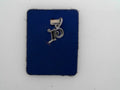 Initial P Charm