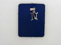 Initial N Charm