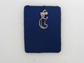 Initial C Charm
