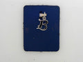 Initial B Charm