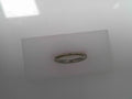 PANDORA CHARMS