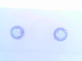 Silver Earring
