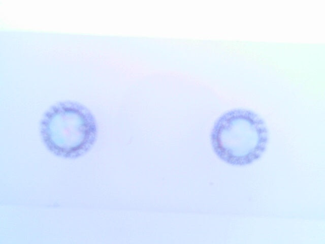 Silver Earring