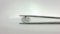 LAB GROWN DIAMOND LOOSE STONES