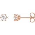 Round 6-Prong Stud Earrings
