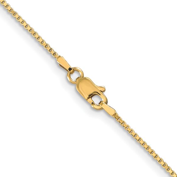 Leslie's 10K 1mm Box Chain - Image 3
