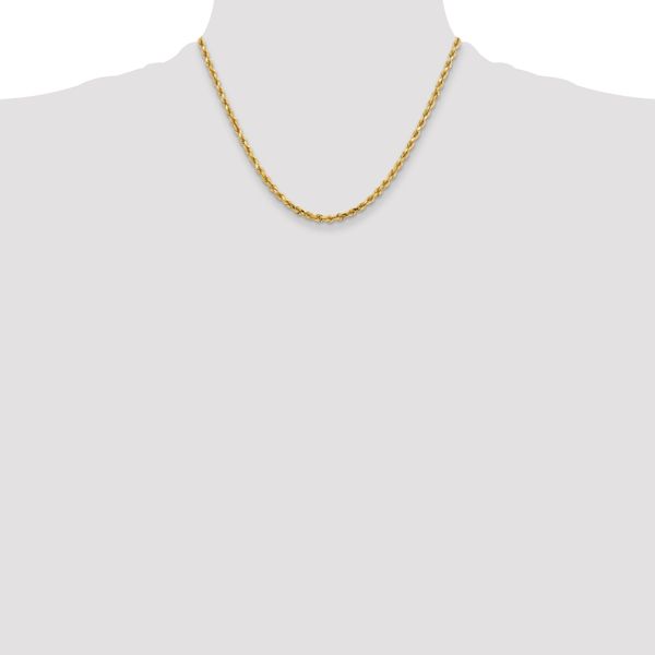 Leslie's 10K 3.75mm Diamond-Cut Rope Chain - Image 4