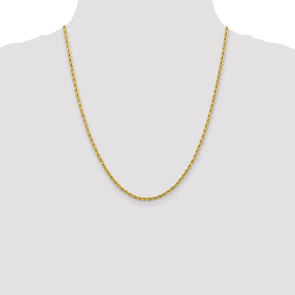Leslie's 10k White Gold 2.75mm Diamond-Cut Rope Chain - Image 4