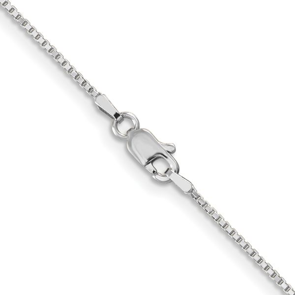 Leslie's 10k White Gold 1mm Box Chain - Image 3
