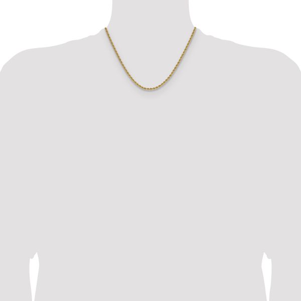 Leslie's 10k 2.75mm Solid Regular Rope Chain - Image 4