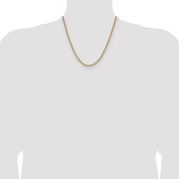 Leslie's 10k 2.75mm Solid Regular Rope Chain - Image 4