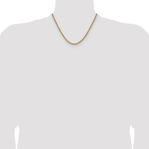 Leslie's 10k 3mm Solid Regular Rope Chain - Image 4