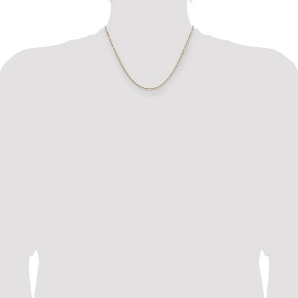 Leslie's 10K 1.1mm Box Chain - Image 4