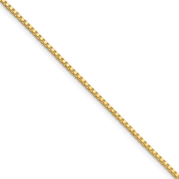 Leslie's 10K 1.1mm Box Chain