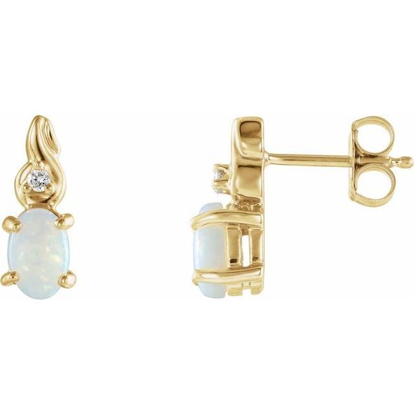 Accented Earrings
