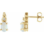 Accented Earrings