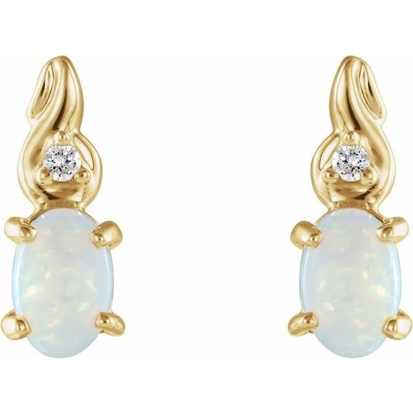 Accented Earrings - Image 2