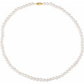 Panache® Pearl Necklace