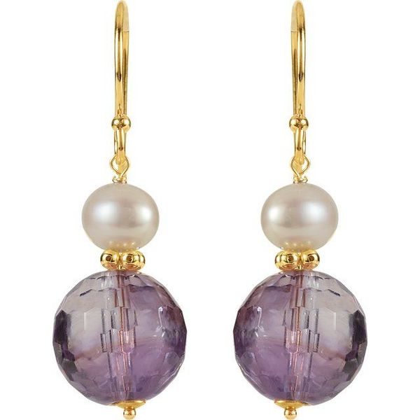 Accented Drop Earrings - Image 2