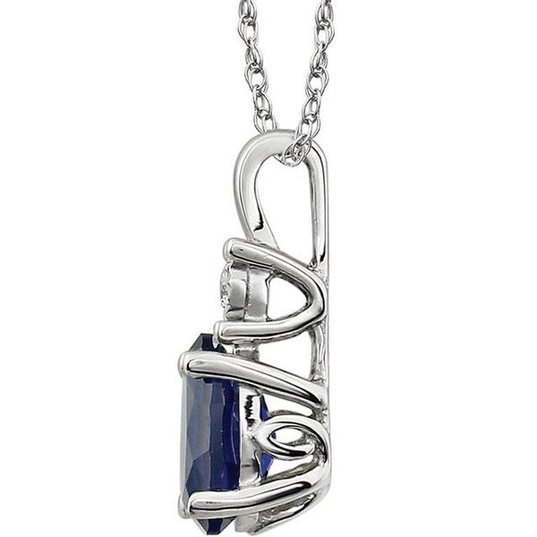 Accented Necklace - Image 2