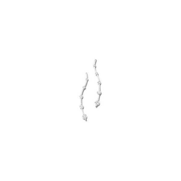 Accented Journey Earrings
