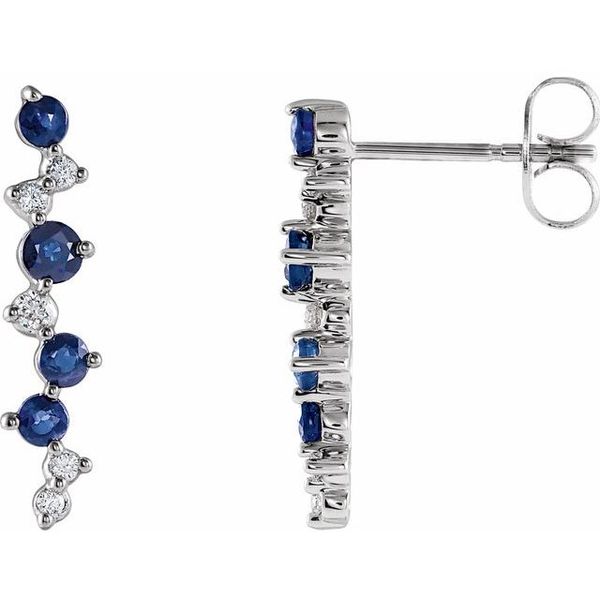 Accented Earrings