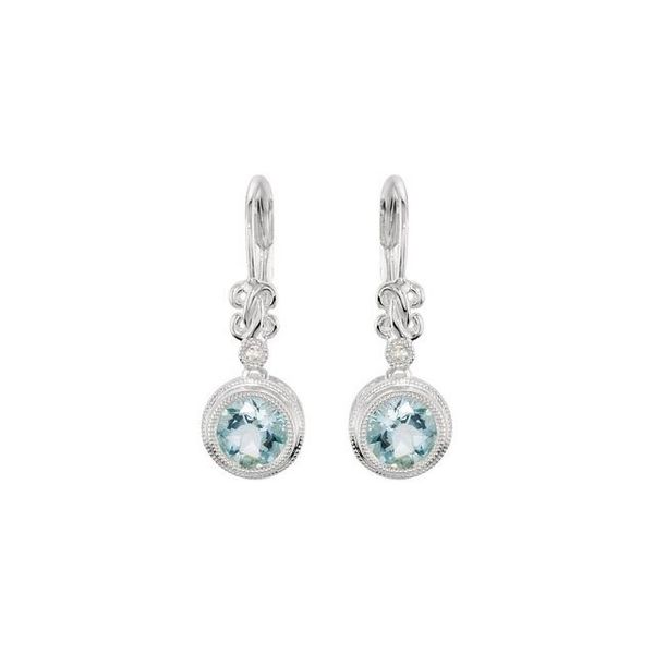 Accented Earrings - Image 2