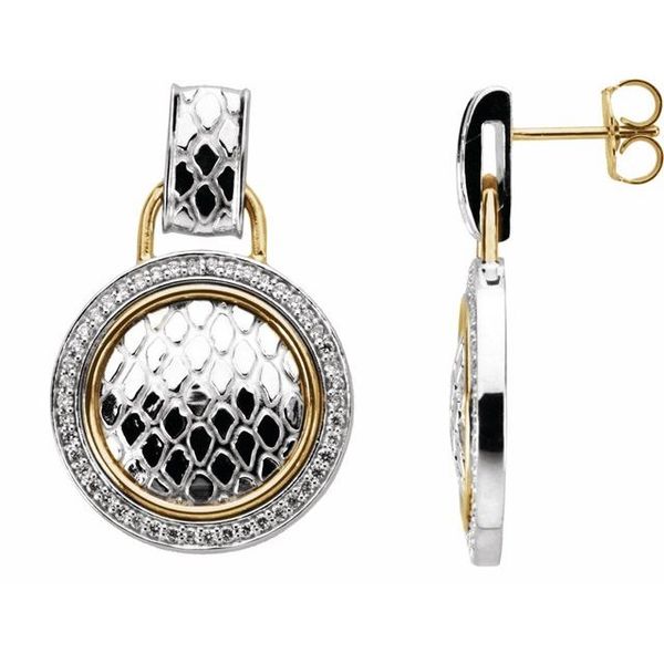 Accented Snake Skin Earrings