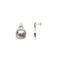 Accented Snake Skin Earrings