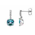 Accented Earrings