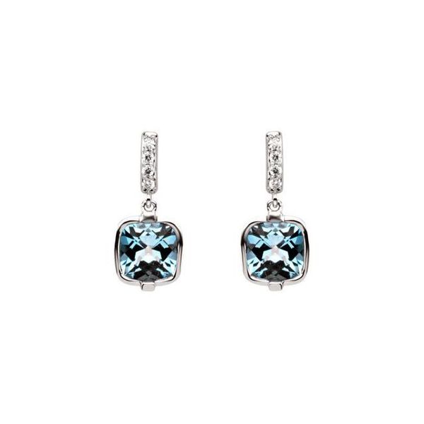 Accented Earrings - Image 2
