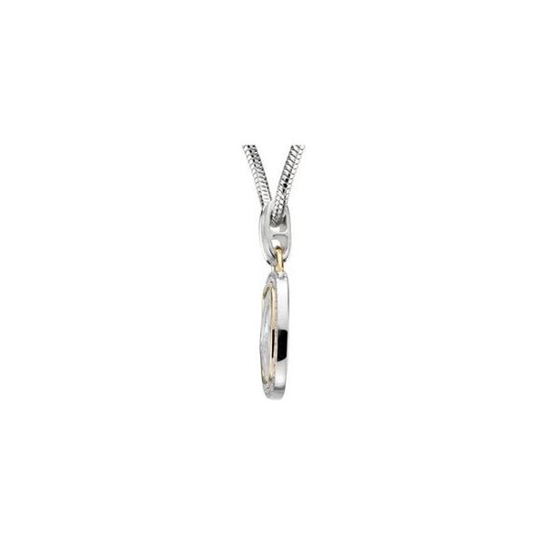 Accented Zebra Skin Necklace - Image 2