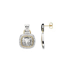 Accented Zebra Skin Earrings