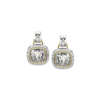 Accented Zebra Skin Earrings - Image 2