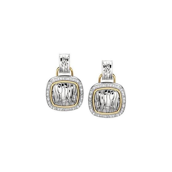 Accented Zebra Skin Earrings - Image 2