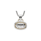 Accented Zebra Skin Necklace