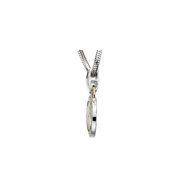 Accented Zebra Skin Necklace - Image 2