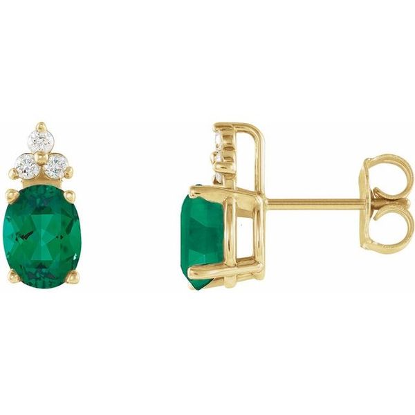 Accented Earrings