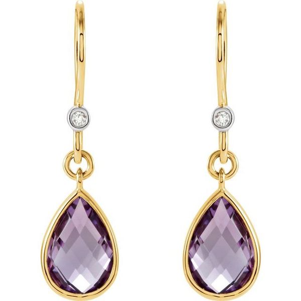 Accented Earrings - Image 2