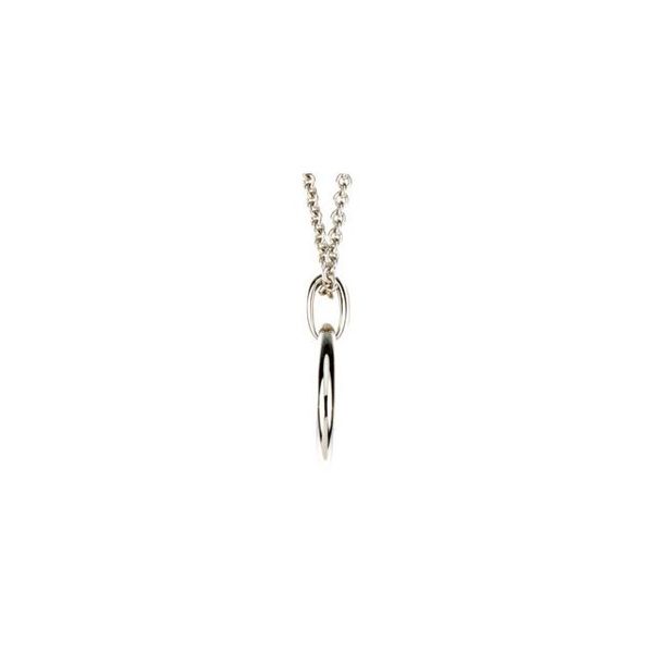 Accented Circle Necklace - Image 2