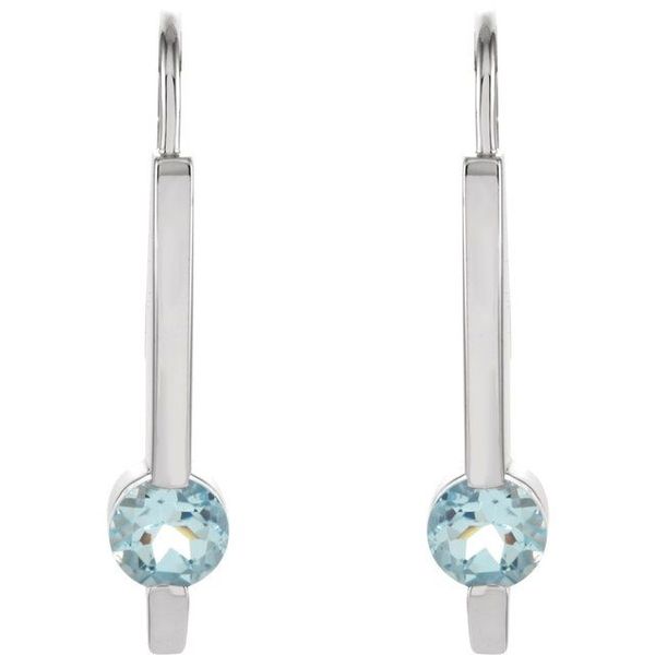 Accented Bar Earrings - Image 2