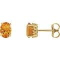 Oval 4-Prong Stud Earrings